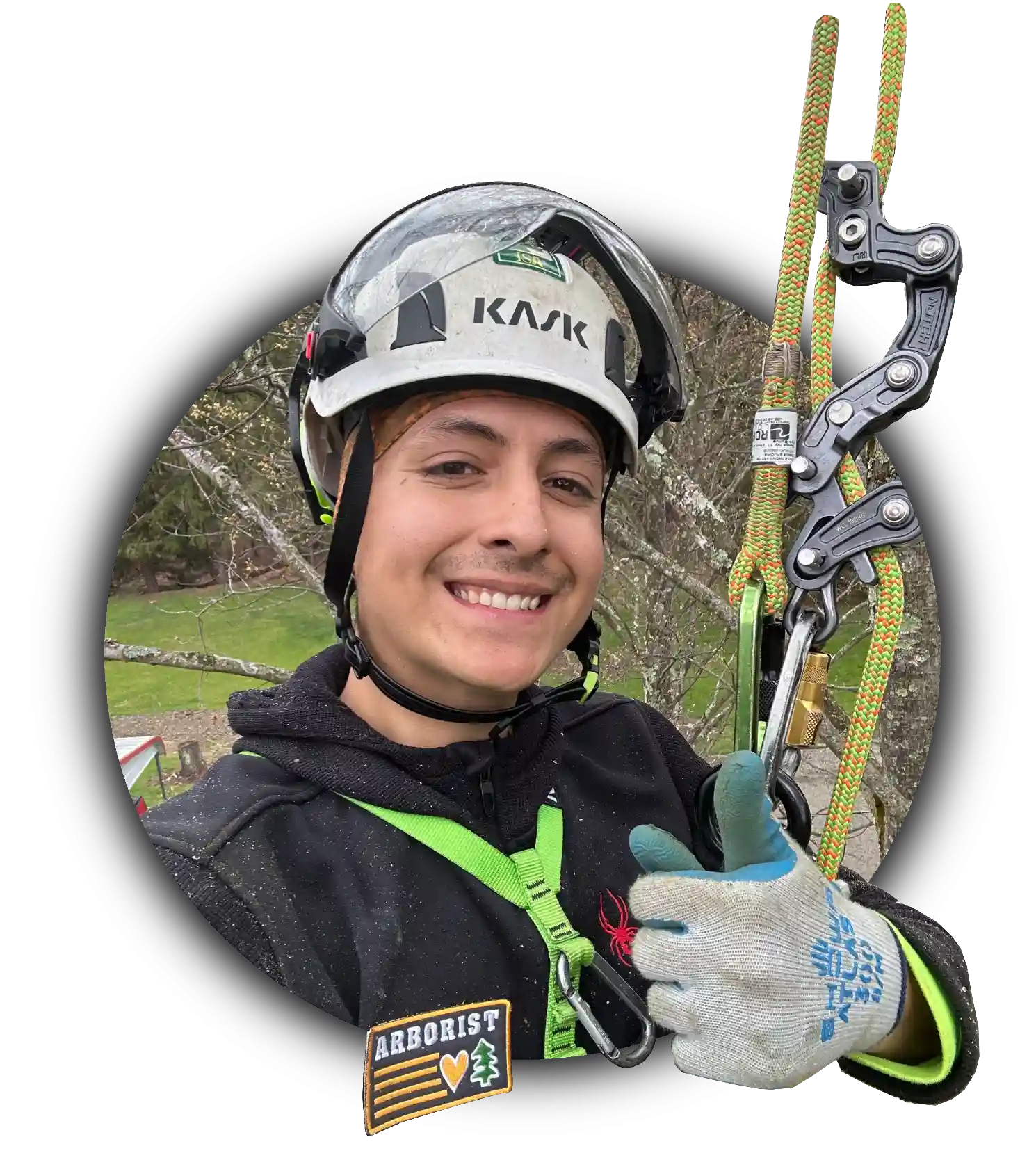 JP Tree Care Expert Tree Services in Murrysville, PA