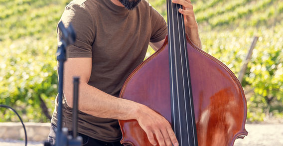 Our Trio with Double Bass during cocktail at Quinta da Murta