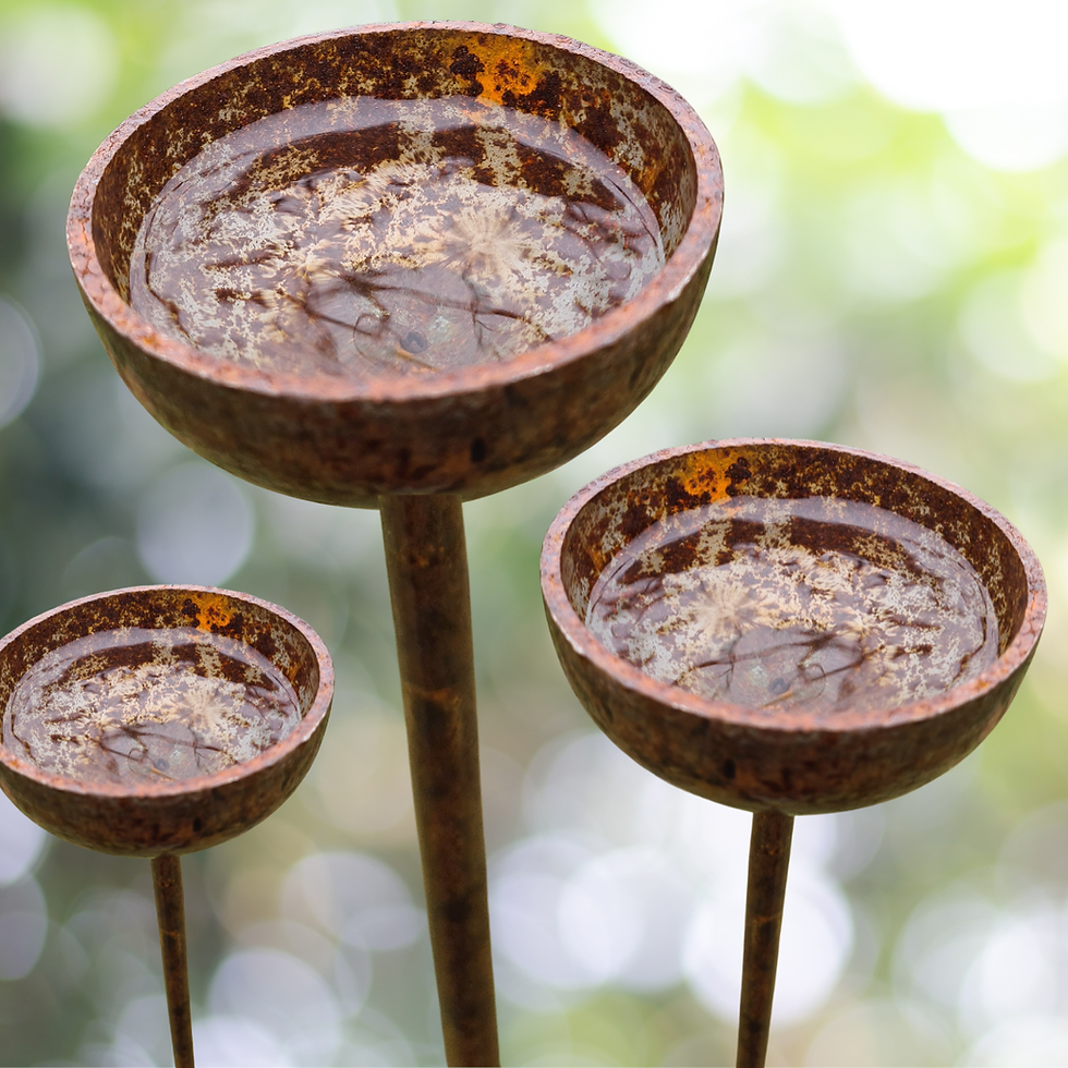 Thumbnail: Rusty metal rain catcher, bird feeder or decorative garden accessory: Set of 3