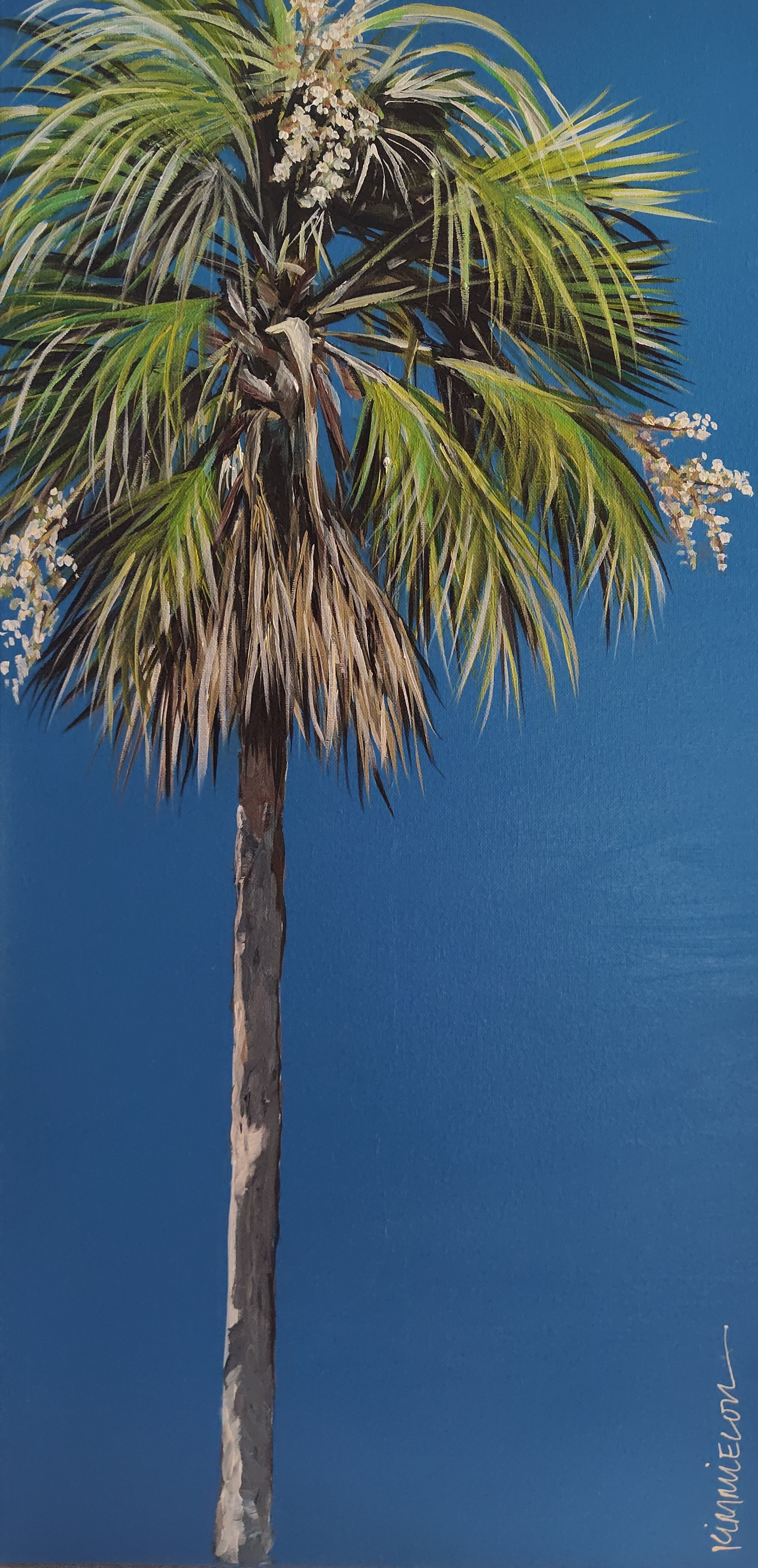 Florida Crown