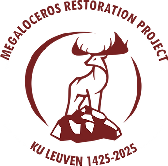Logo zonder achtergrond.png
