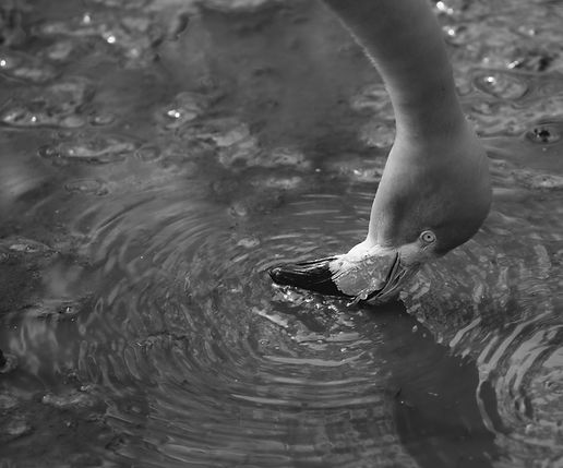IMGP5404_edited.jpg