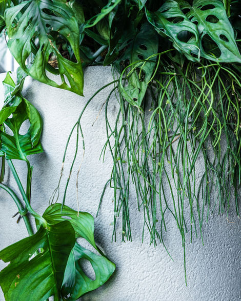Fotografia de arquitetura, engenharia e paisagismo para Castaldi Riva Engenharia. Projeto de paisagismo: @perene.paisagismo