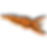 Carrot illustration