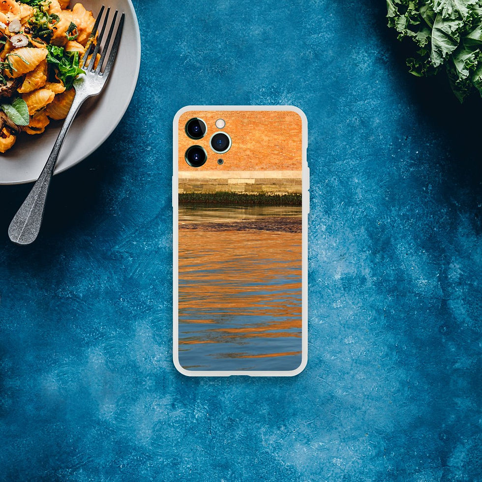 Thumbnail: Venice #3 - Phone Case