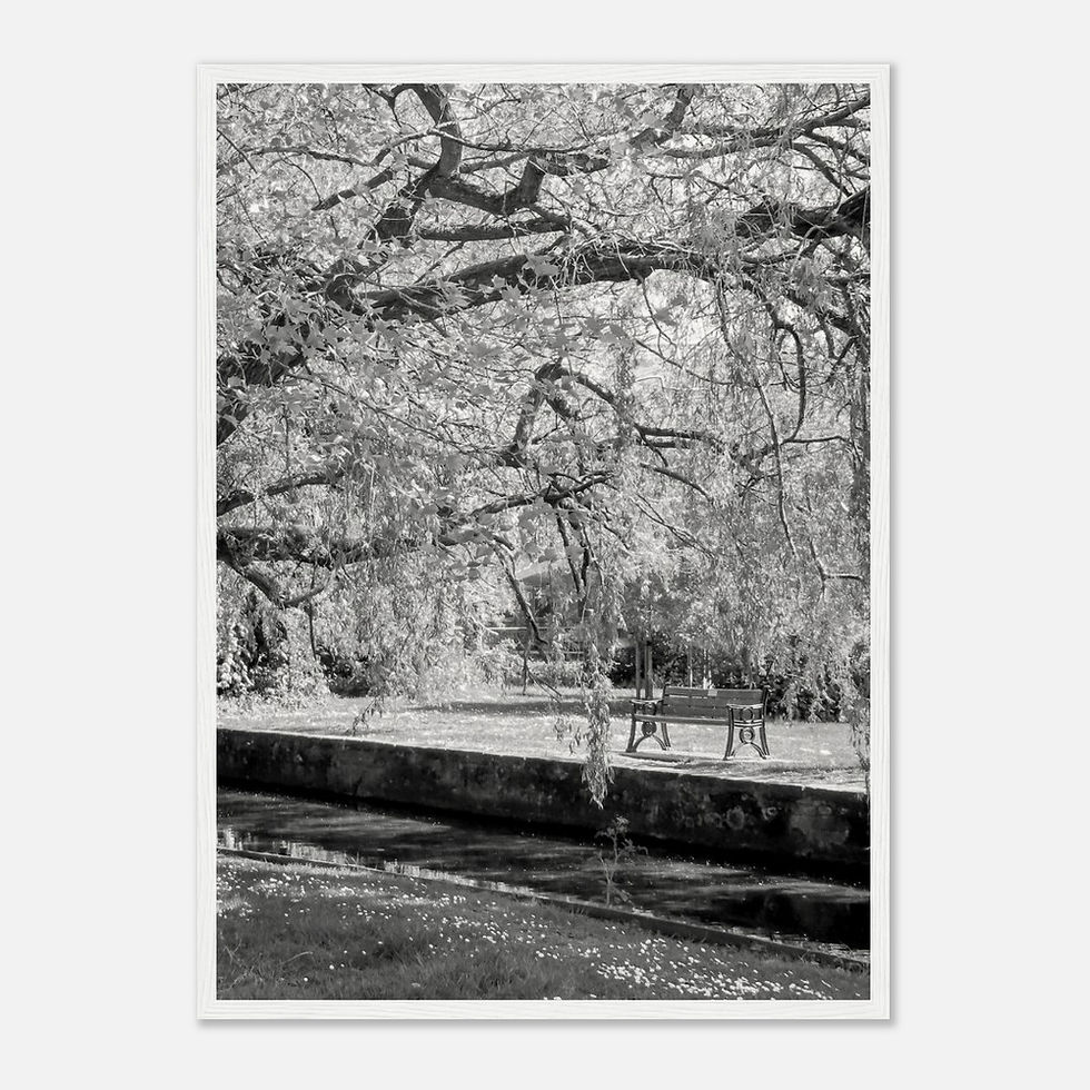 Thumbnail: Shaded Bench - Wall Art
