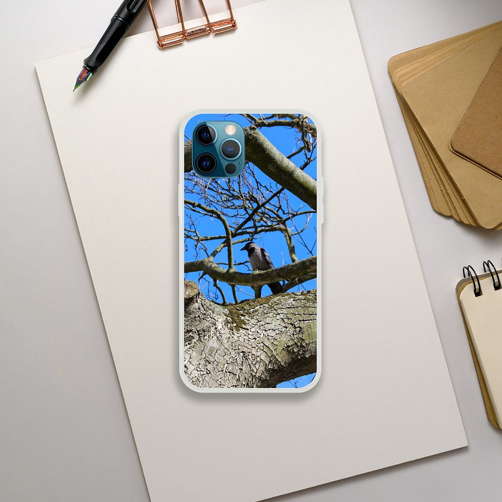 Thumbnail: Bird in Tree - Phone Case