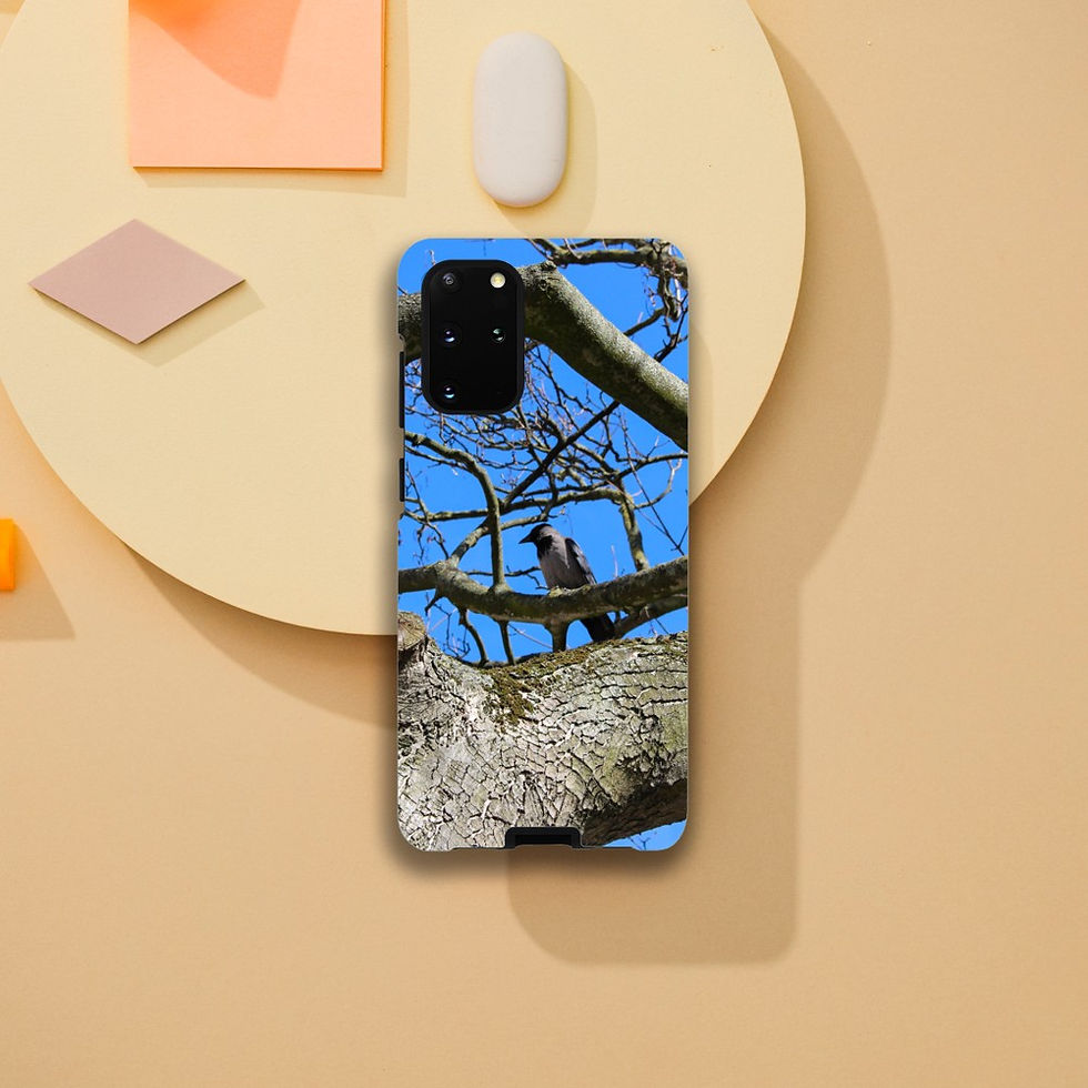 Thumbnail: Bird in Tree - Phone Case