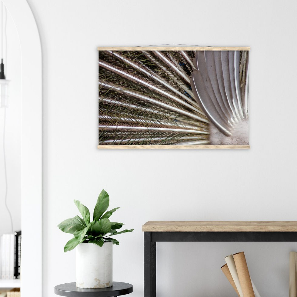 Thumbnail: Peacock Feathers - Wall Art
