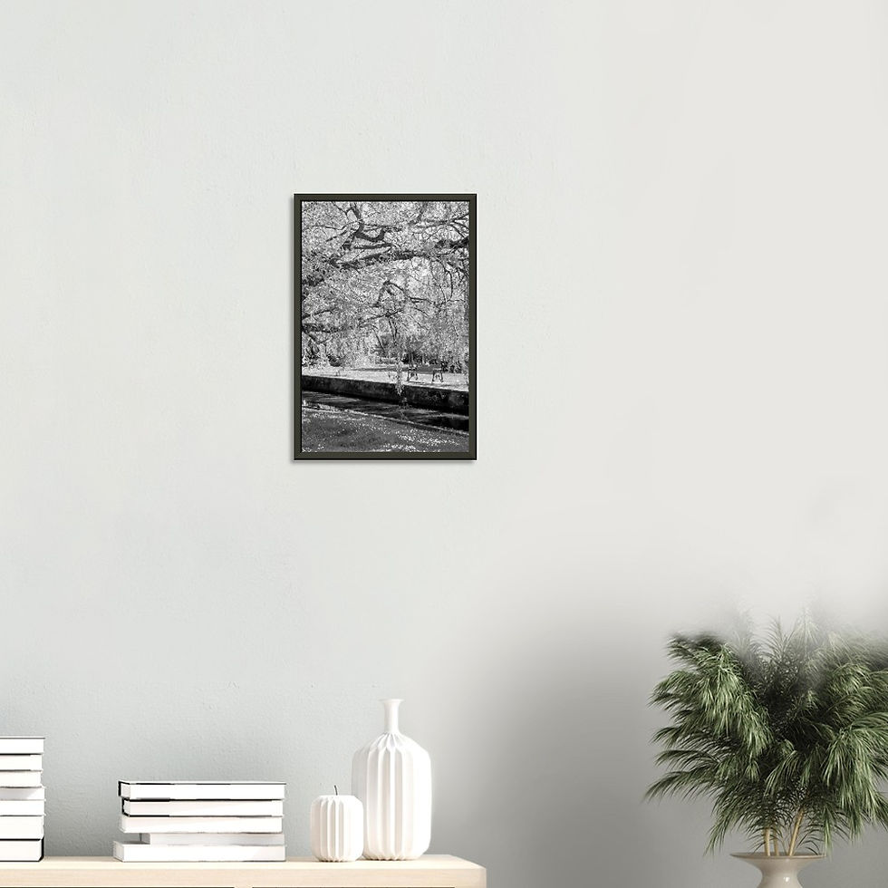 Thumbnail: Shaded Bench - Wall Art