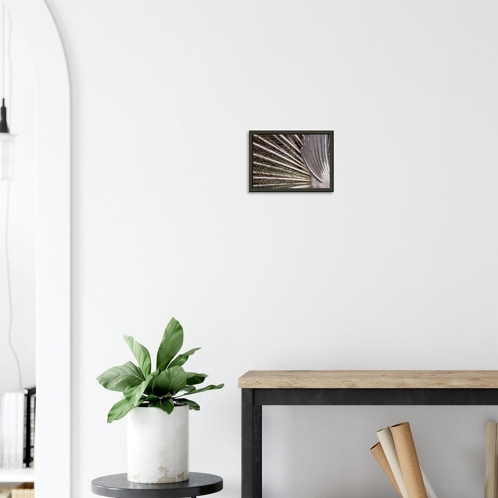 Thumbnail: Peacock Feathers - Wall Art