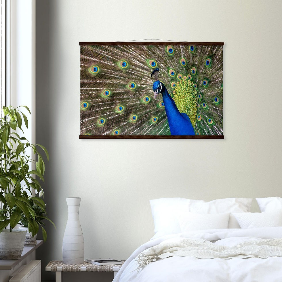Thumbnail: Peacock - Wall Art