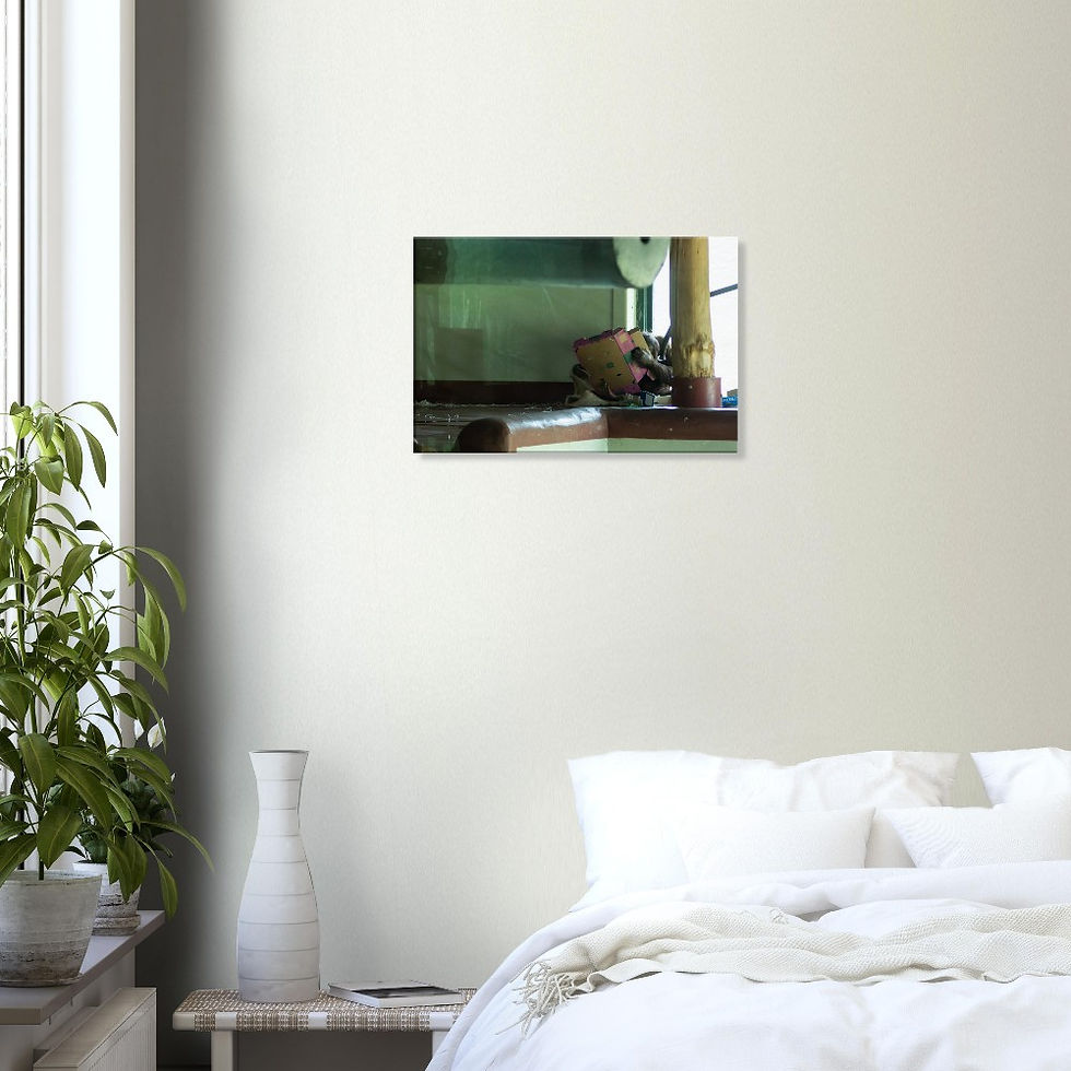 Thumbnail: Cheeky Monkey - Wall Art