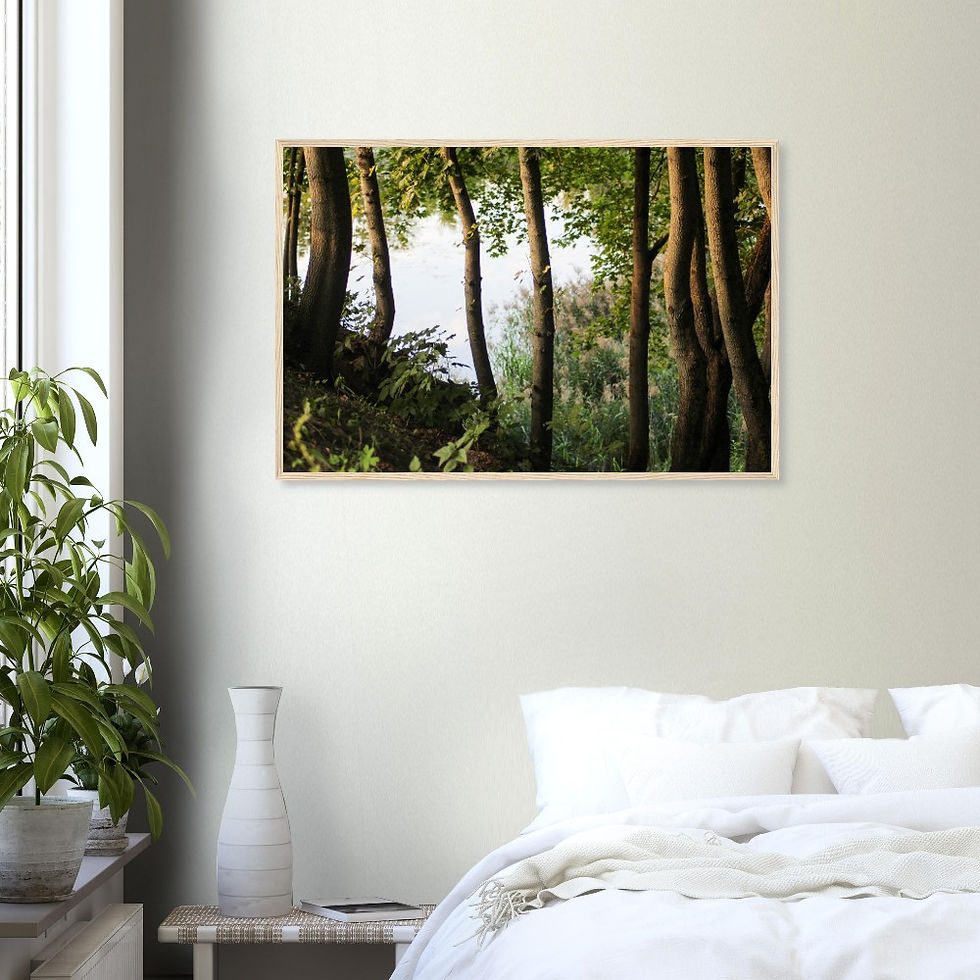 Thumbnail: Twilight Trees - Wall Art