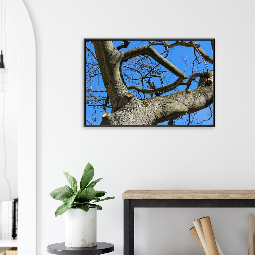 Thumbnail: Bird in Tree - Wall Art