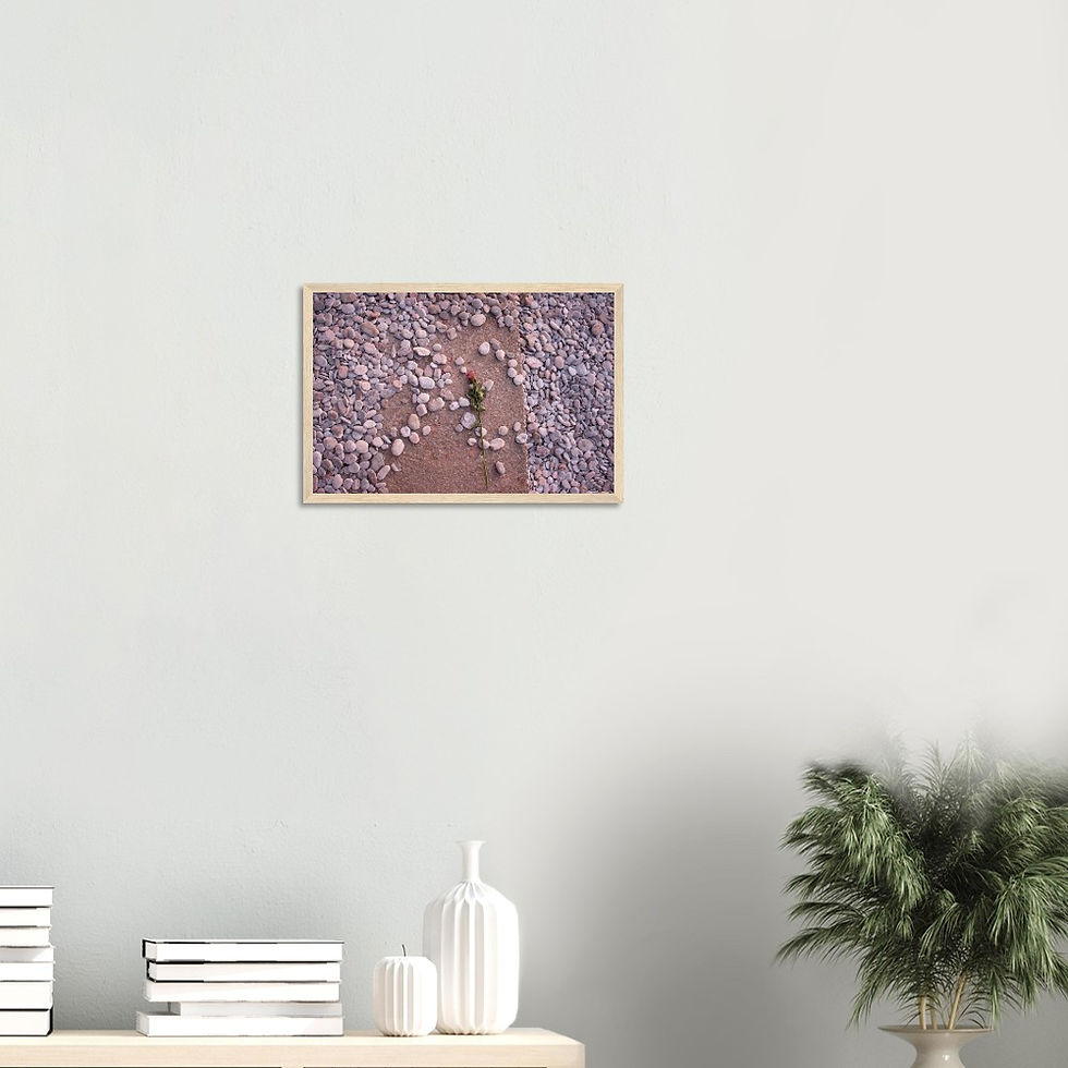 Thumbnail: Fallen Rose - Wall Art