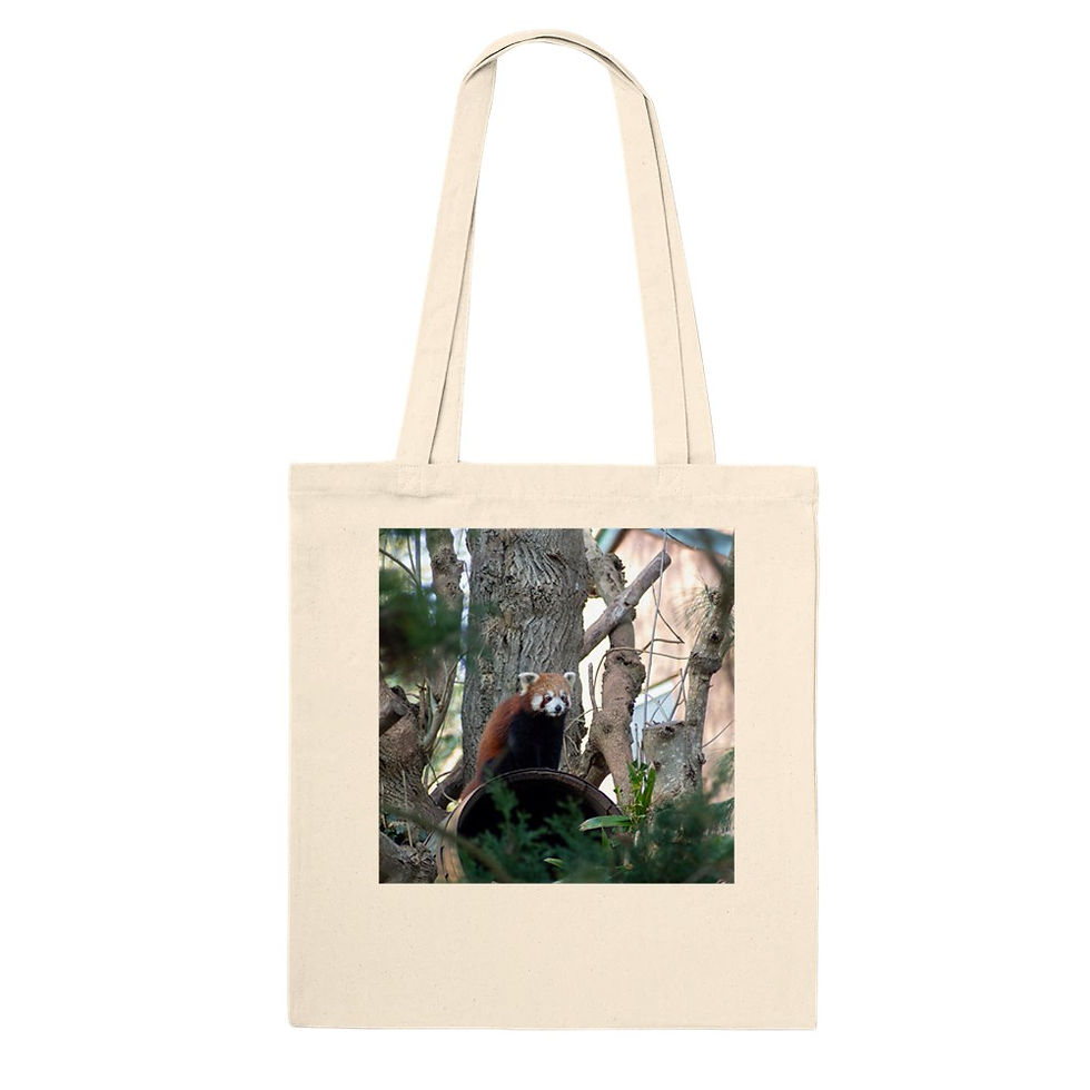 Thumbnail: Red Panda - Tote Bag