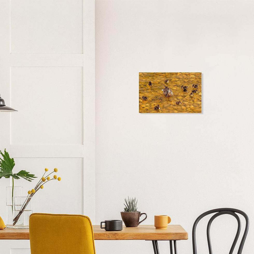 Thumbnail: Duck Family - Wall Art