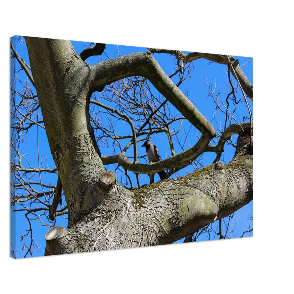 Thumbnail: Bird in Tree - Wall Art