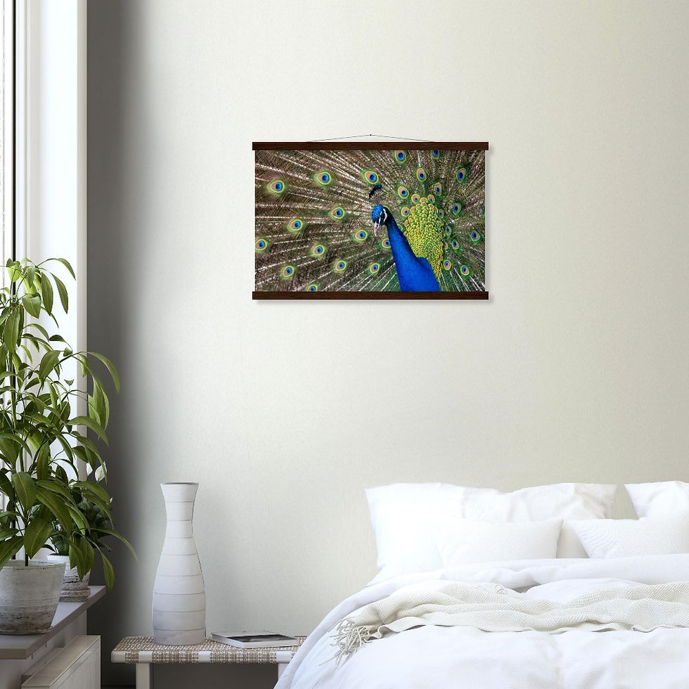 Thumbnail: Peacock - Wall Art