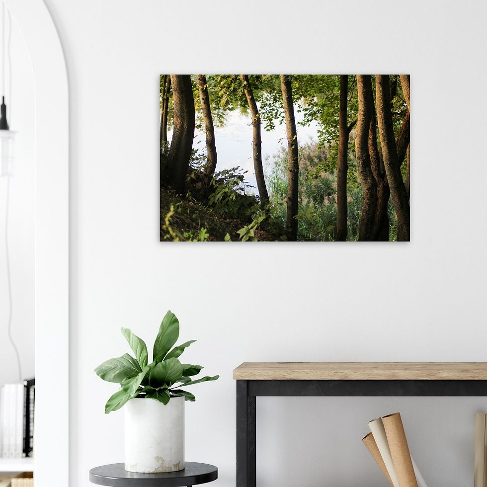 Thumbnail: Twilight Trees - Wall Art
