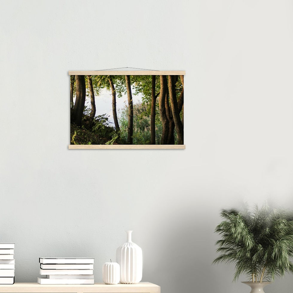 Thumbnail: Twilight Trees - Wall Art