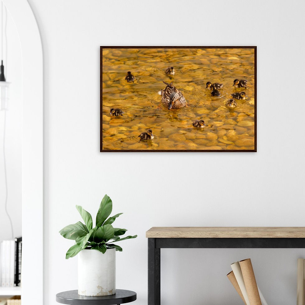 Thumbnail: Duck Family - Wall Art