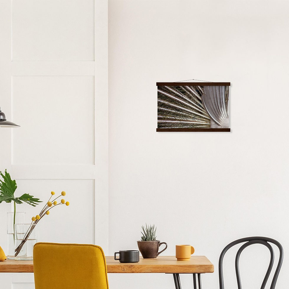 Thumbnail: Peacock Feathers - Wall Art