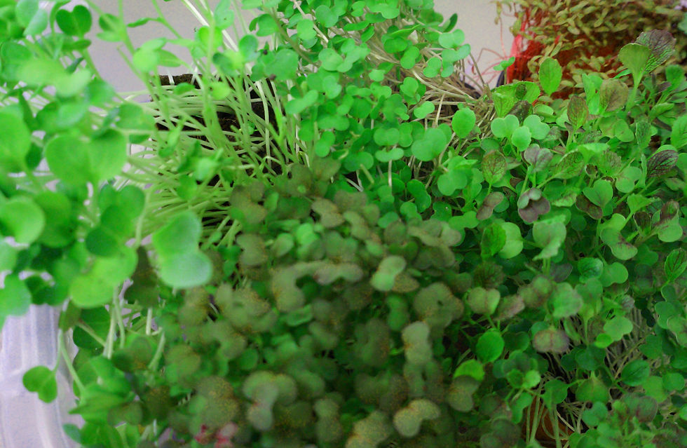 greens