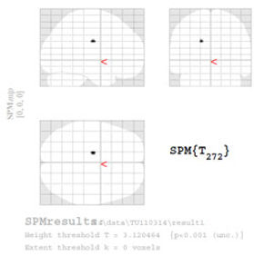 脳活整体における科学的根拠を示す図