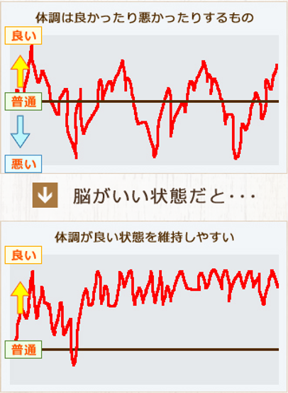 脳の働きと体調の変化をイメージしたグラフ