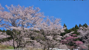 講習開催のご案内