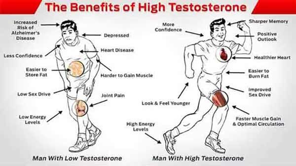 Benefits-of-testosterone.jpg
