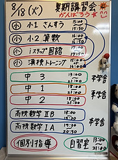 8.18.jpg