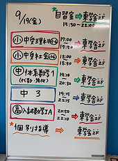 IMG_1966.jpg