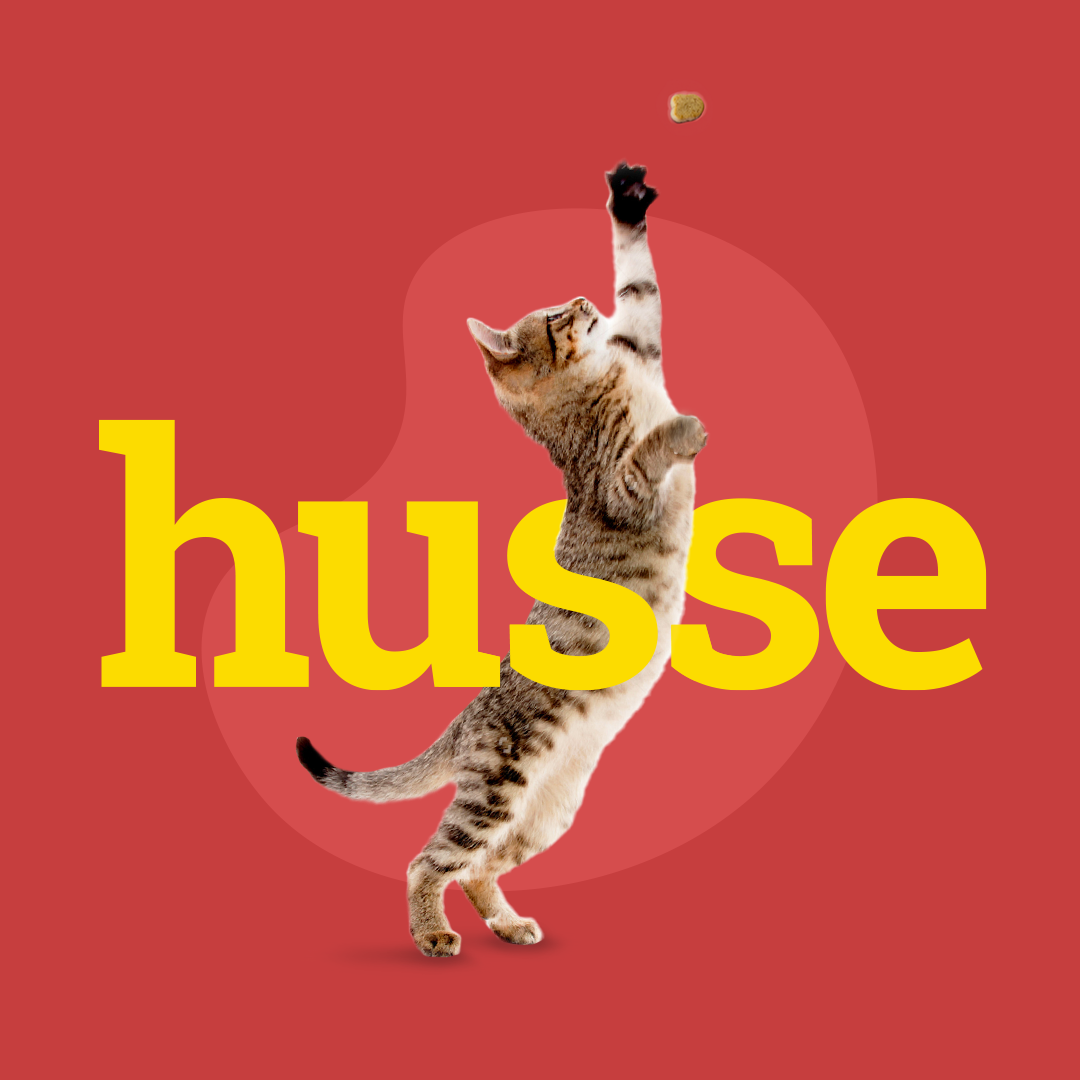 brand_logo.png