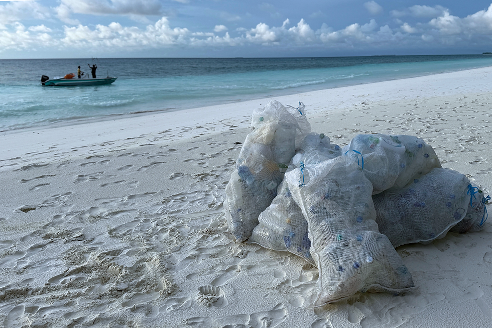 Collected rubbish bags after a beach clean-up on a Maldivian island