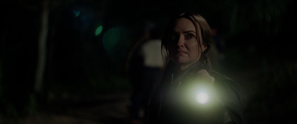 Grizzly Night still
