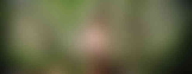 Fabianne Therese in Rod Blackhurst’s DOLLY . Courtesy of John Blazzi.