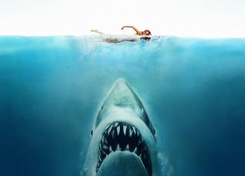 Jaws Explored Now Available For Pre-Order