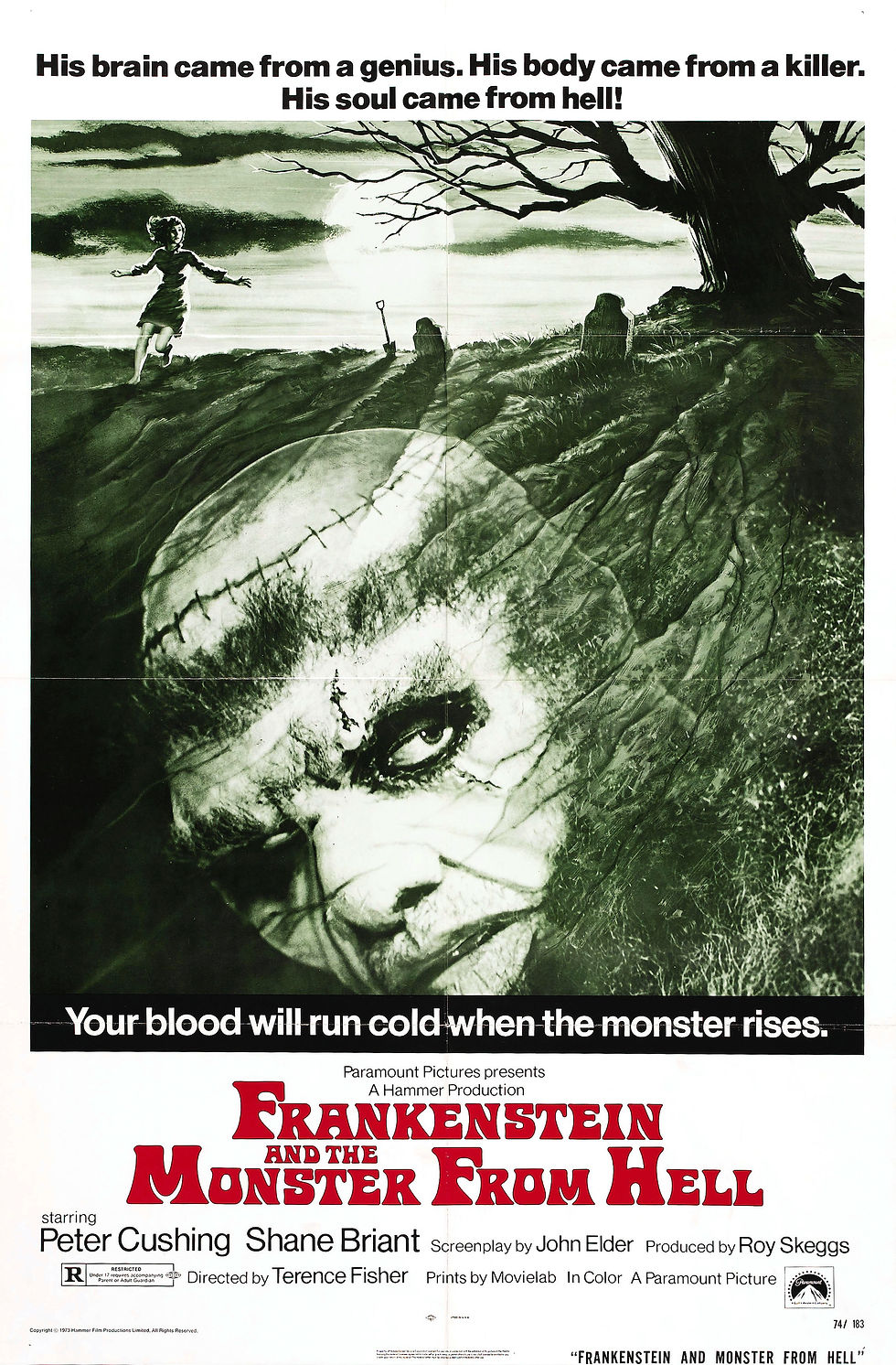 Frankenstein and the Monster From Hell
