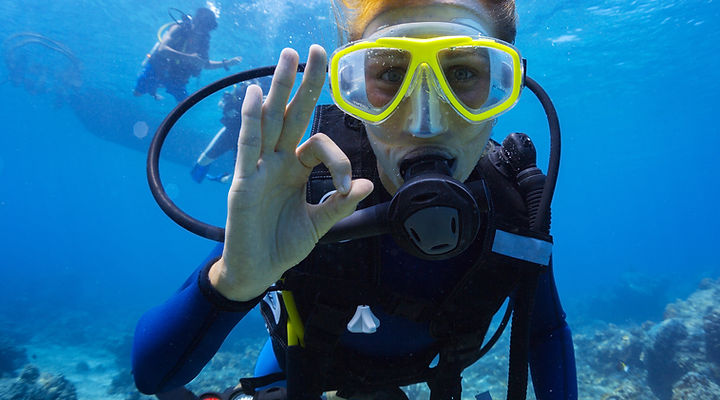 Open Water Diver Course at Red Sea Marine