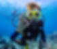 PADI Course - Aloha Divers Okinawa