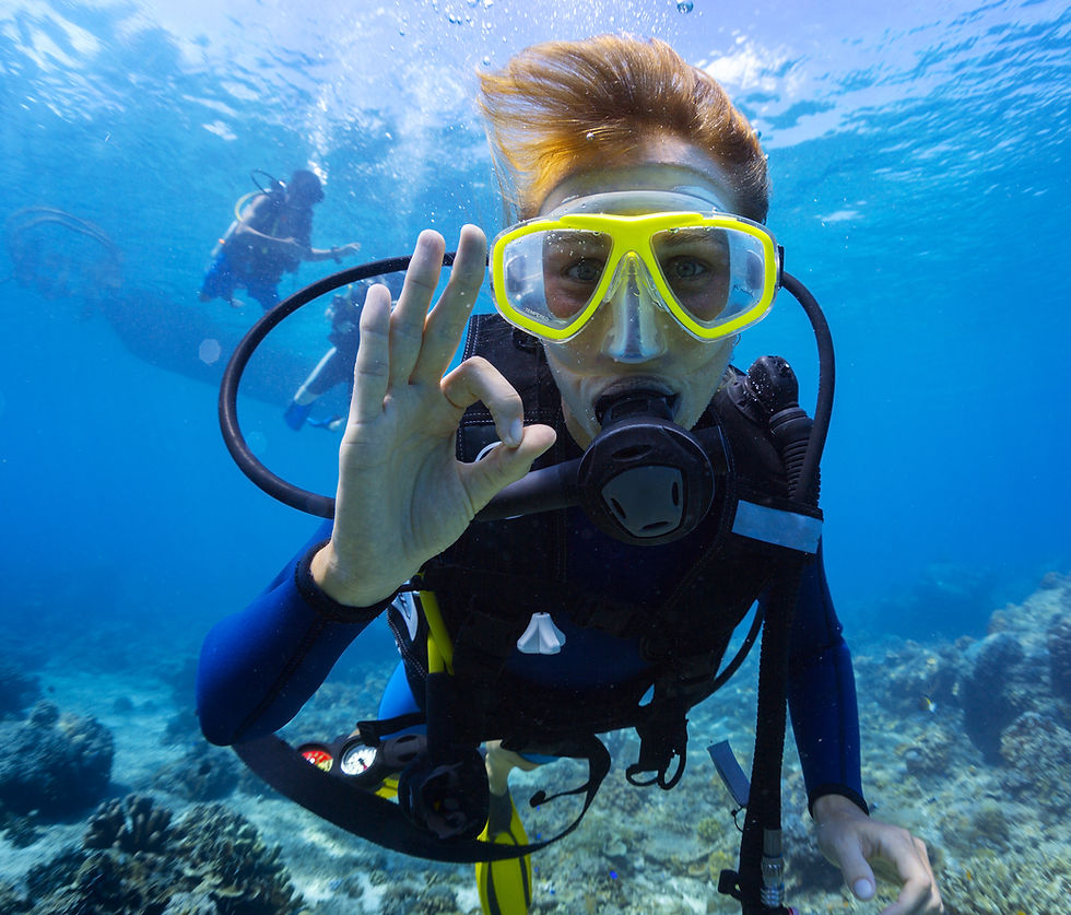 Underwater Scuba Diver