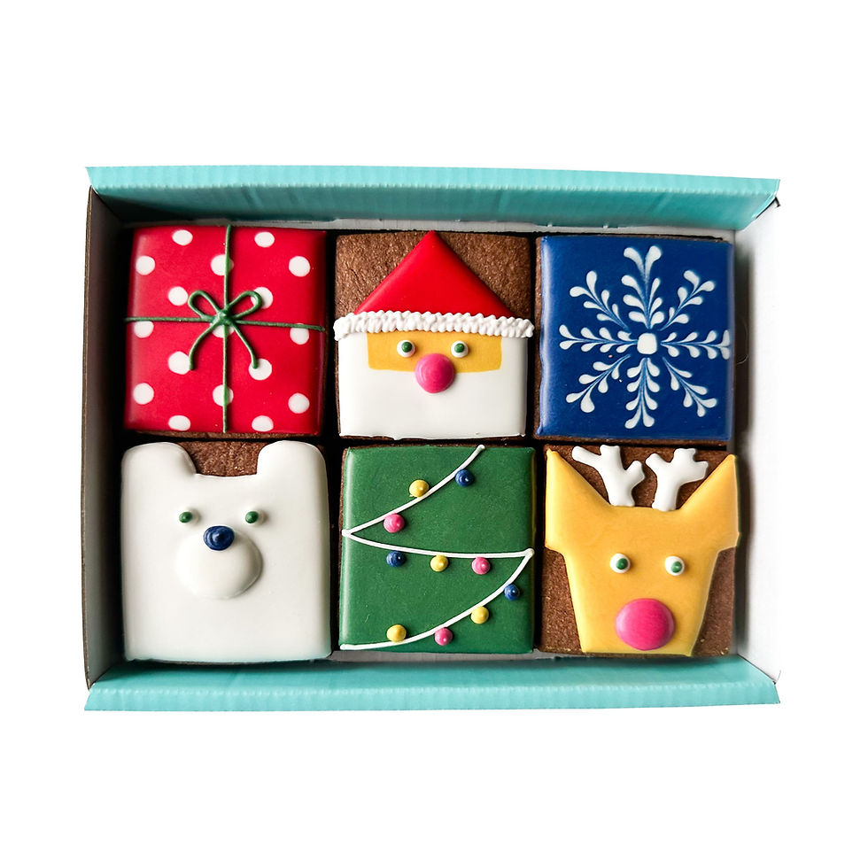 Mini square Christmas hand-iced biscuit gift set
