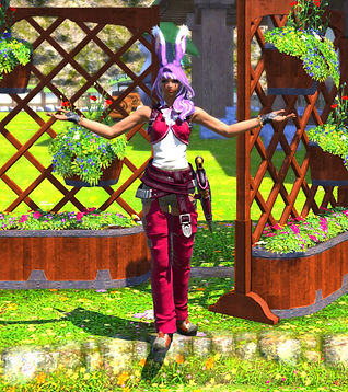 ffxiv_11272019_194212_336_edited.jpg