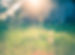 Meadow-Morning.jpg