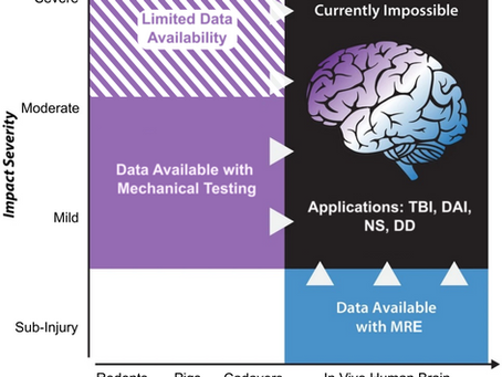LSU, Delaware and Johns Hopkins Researchers Examine the Mechanics of the Human Brain