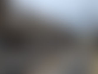 View of plots 4-11 at the development