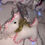 Thumbnail: West Highland Terrier Dog
